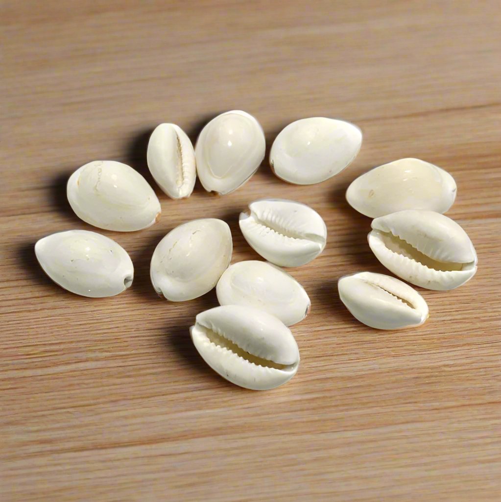 100 gm, 15-20mm Cowrie Shell Beads White Without Hole - Off White / Shell