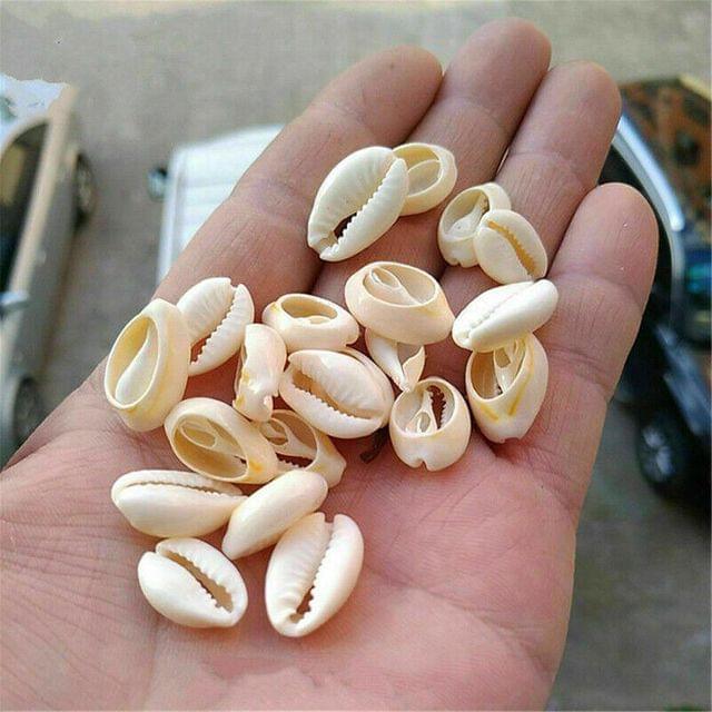 100 gm, 24x15mm-18x12mm Bulk Cut Sea Shell Cowrie Beads White - White / Shell