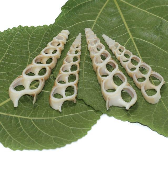 4 Pcs 2.5-3.5 Inches Sliced Seashells Cut Strombus Shells - Brown / Shell / Assorted