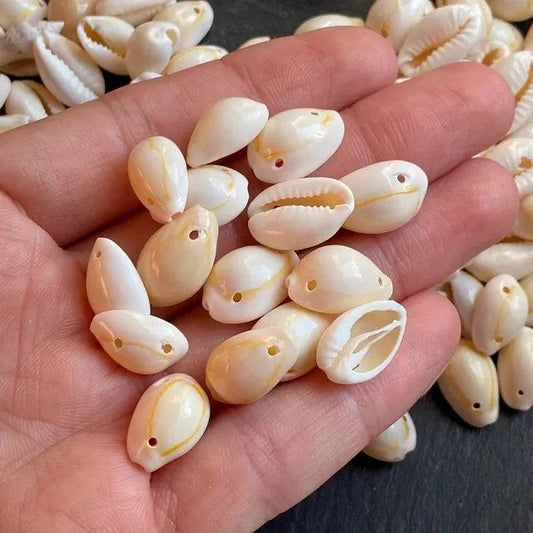 100 gm, Drilled Two Hole Sea Shell Cowrie Beads White - White / Shell