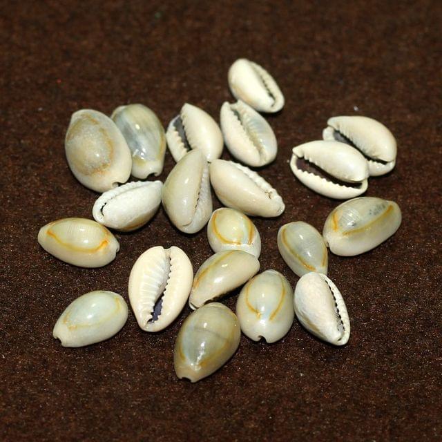 100 gm, 12-15mm Without Hole Sea Shell Cowrie Beads - Grey / Shell