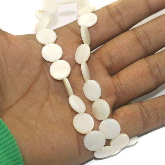 1 String Natural Shell Beads 12 mm - Off White / Shell / Assorted