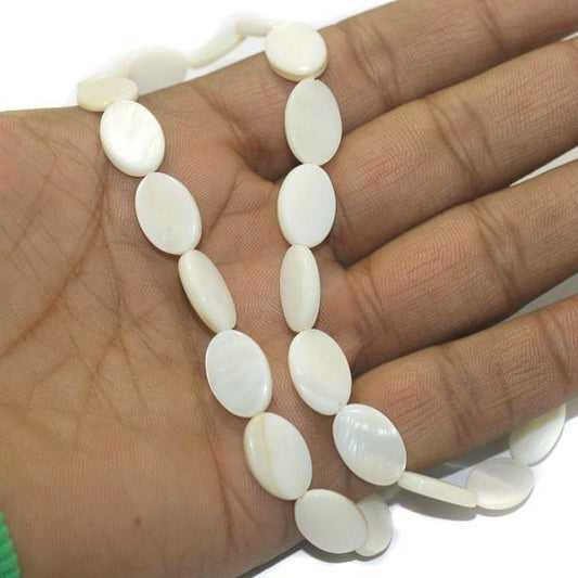 1 String Natural Shell Beads 15x10 mm - Off White / Shell / Assorted