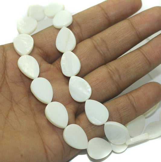1 String Natural Shell Beads 17x12 mm - Off White / Shell / Assorted