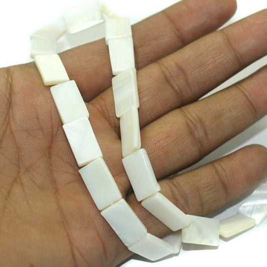 1 String Natural Shell Beads 15x10 mm - Off White / Shell / Assorted