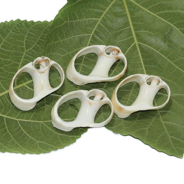 4 Pcs 1.5-2 Inches Sliced Seashells Cut Strombus Shells - Brown / Shell / Assorted