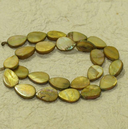 15x10mm  Drop Shell Beads  1 String - Olive / Shell / Drop