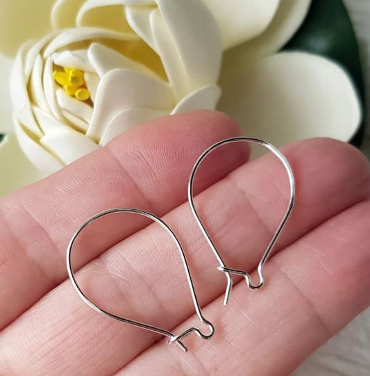 Brass Earring Hooks Silver - Silver / Brass / 2 Pair